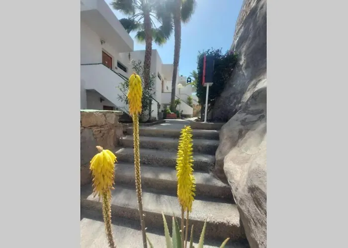 Arimar Solare Apartament